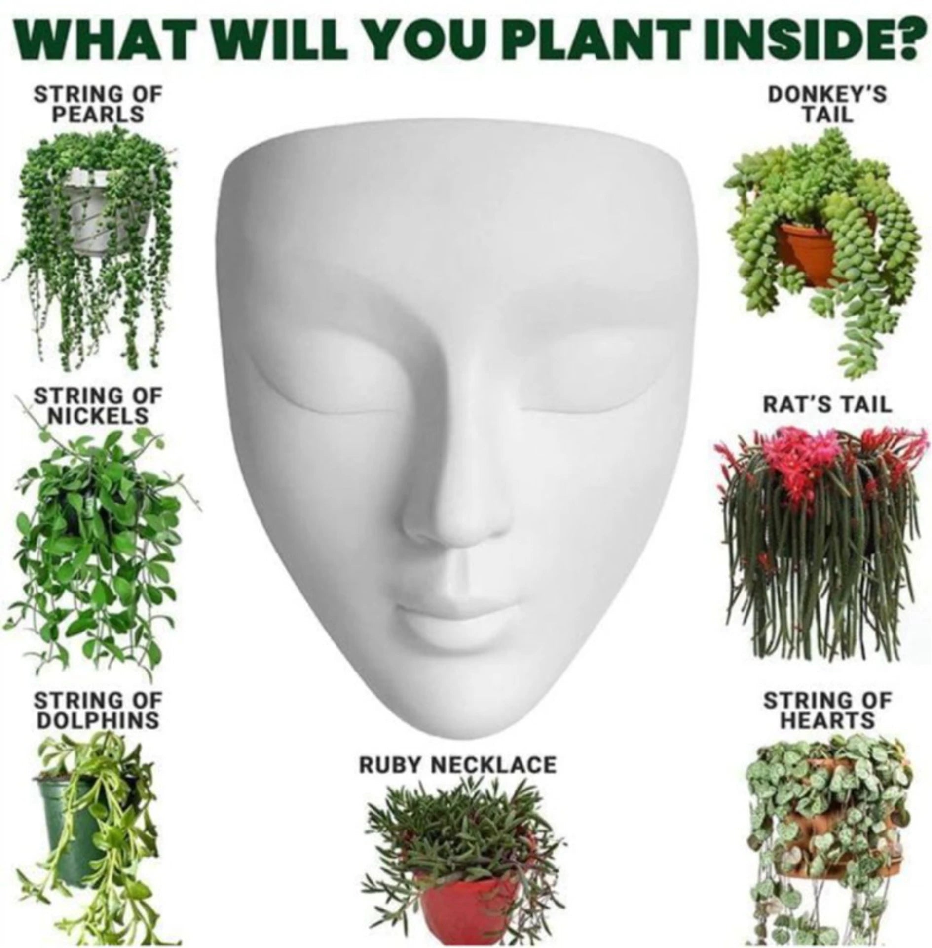 Artistic Face Wall Planter
