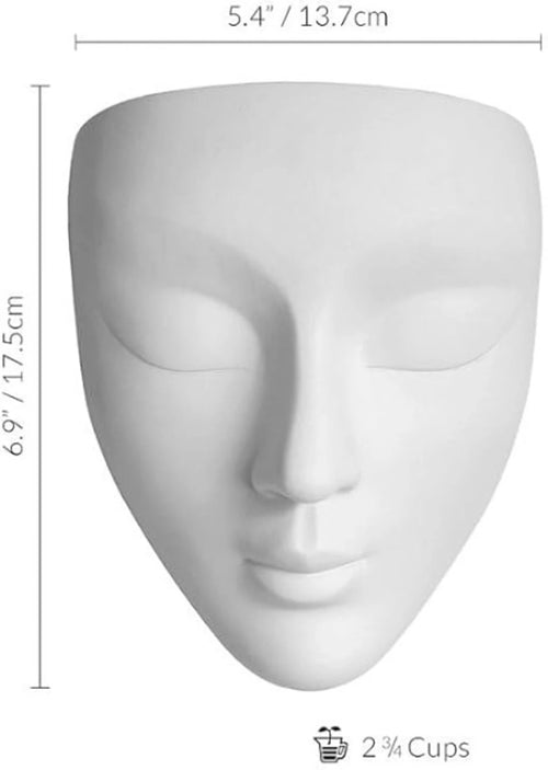 Artistic Face Wall Planter