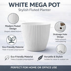 Indoor and Outdoor Pot | Color : White | Pack of 2 (11 Inches)