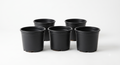 8 inch Black Pots