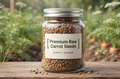 Carrot Seeds (20 seeds)